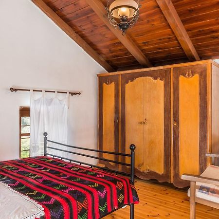Traditional House Αλίκαμπος Εξωτερικό φωτογραφία