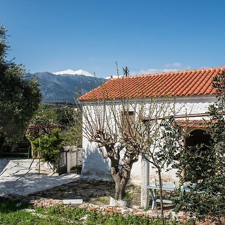 Traditional House Αλίκαμπος Εξωτερικό φωτογραφία