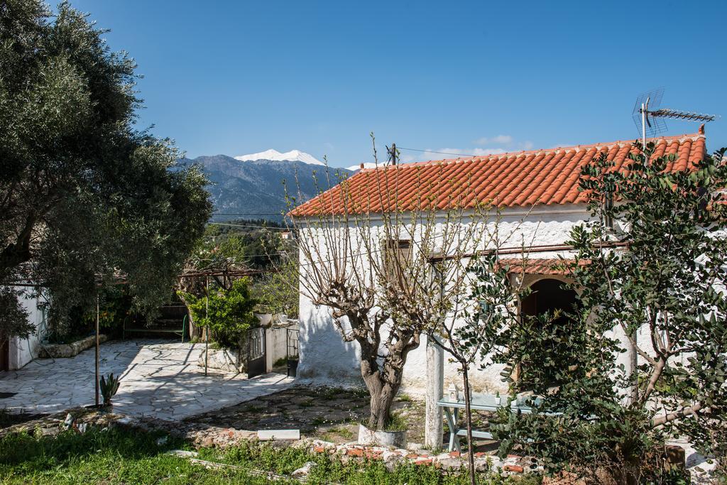 Traditional House Αλίκαμπος Εξωτερικό φωτογραφία