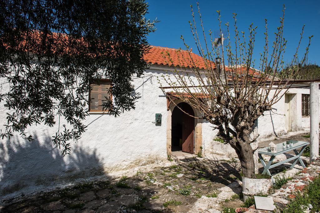 Traditional House Αλίκαμπος Εξωτερικό φωτογραφία